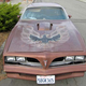 Image for article titled 1978 Pontiac Firebird Trans Am